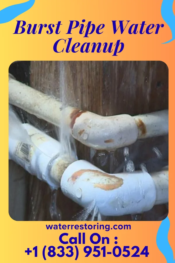 Burst Pipe Water Cleanup in Nenahnezad, NM