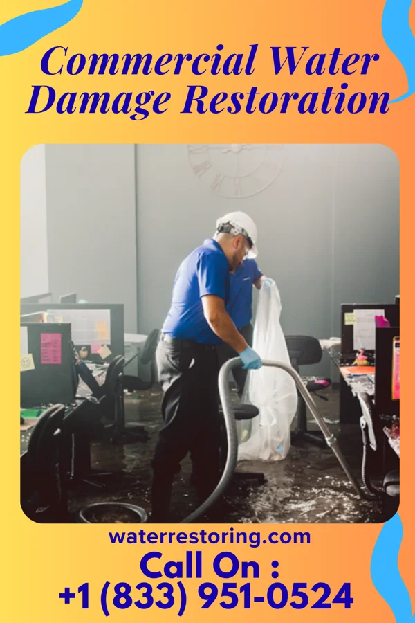 Commercial Water Damage Restoration in Nenahnezad, NM