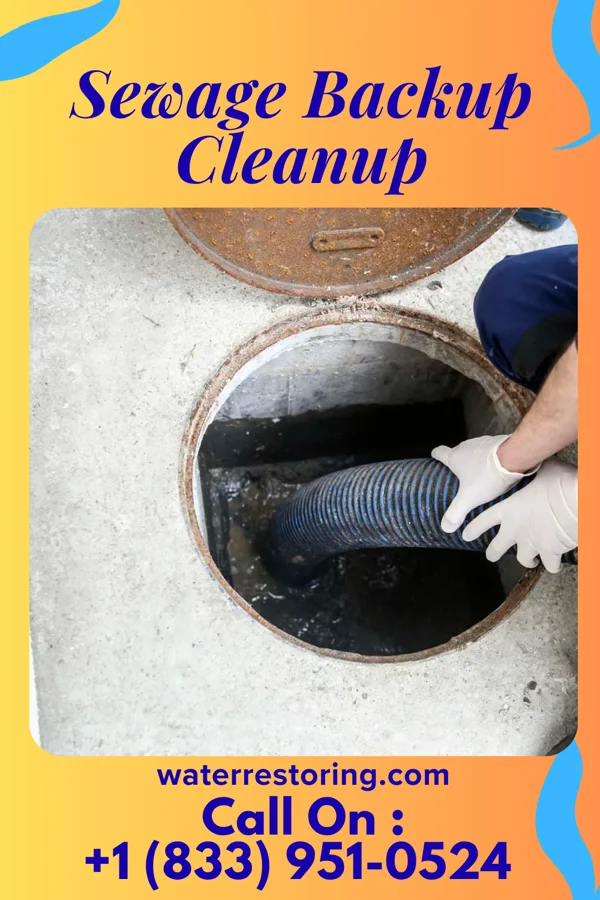 Sewage Backup Cleanup in Nenahnezad, NM