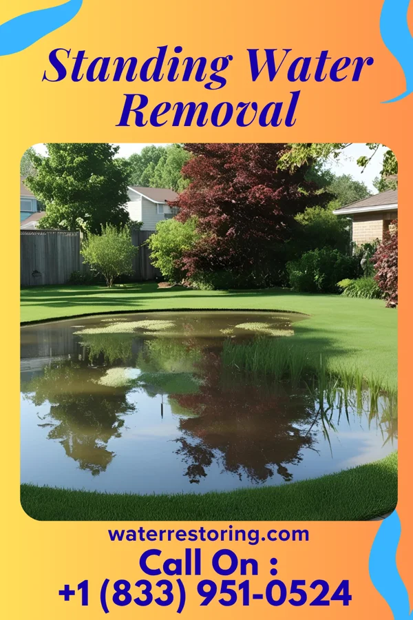 Standing Water Removal in Nenahnezad, NM